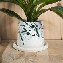 Load image into Gallery viewer, Small Planter w/Tray
