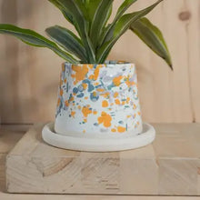 Load image into Gallery viewer, Small Planter w/Tray