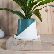 Load image into Gallery viewer, Small Planter w/Tray