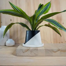 Load image into Gallery viewer, Small Planter w/Tray
