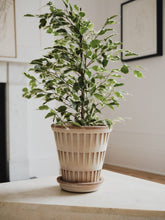 Load image into Gallery viewer, Pantheon RAW Rosa