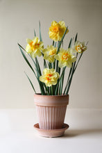 Load image into Gallery viewer, Simona Raw Rosa w/saucer