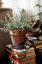 Load image into Gallery viewer, Simona Raw Rosa w/saucer