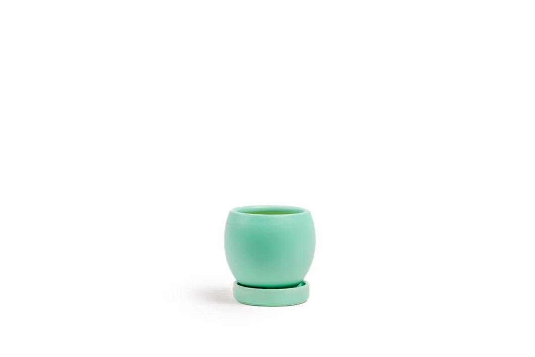 Bollé Pot w/ Saucer 4.25