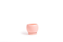 Load image into Gallery viewer, Bollé Pot with Water Saucer 6&quot;
