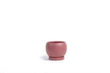 Load image into Gallery viewer, Bollé Pot with Water Saucer 6&quot;
