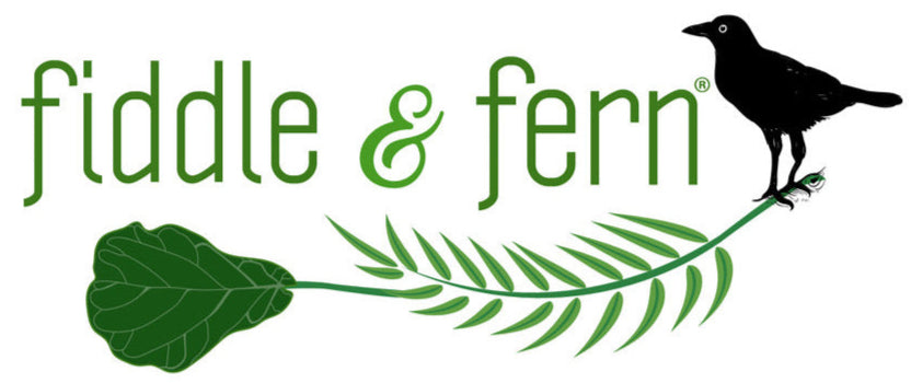 fiddle & fern gift card