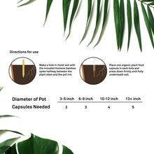 Load image into Gallery viewer, Indoor Houseplants Organic Fertilizer Capsules
