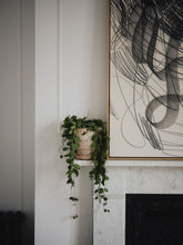 Load image into Gallery viewer, Pantheon RAW Rosa
