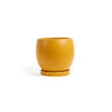Load image into Gallery viewer, Bollé Pot w/ Saucer 4.25&quot;
